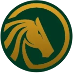 VIP Arab Club